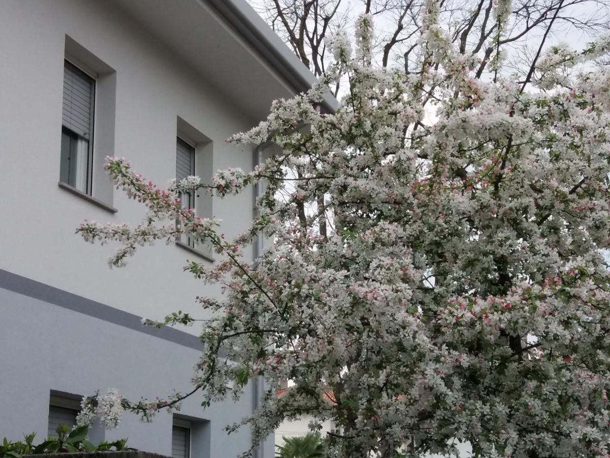 Civico 51 B&B Ούντινε Εξωτερικό φωτογραφία
